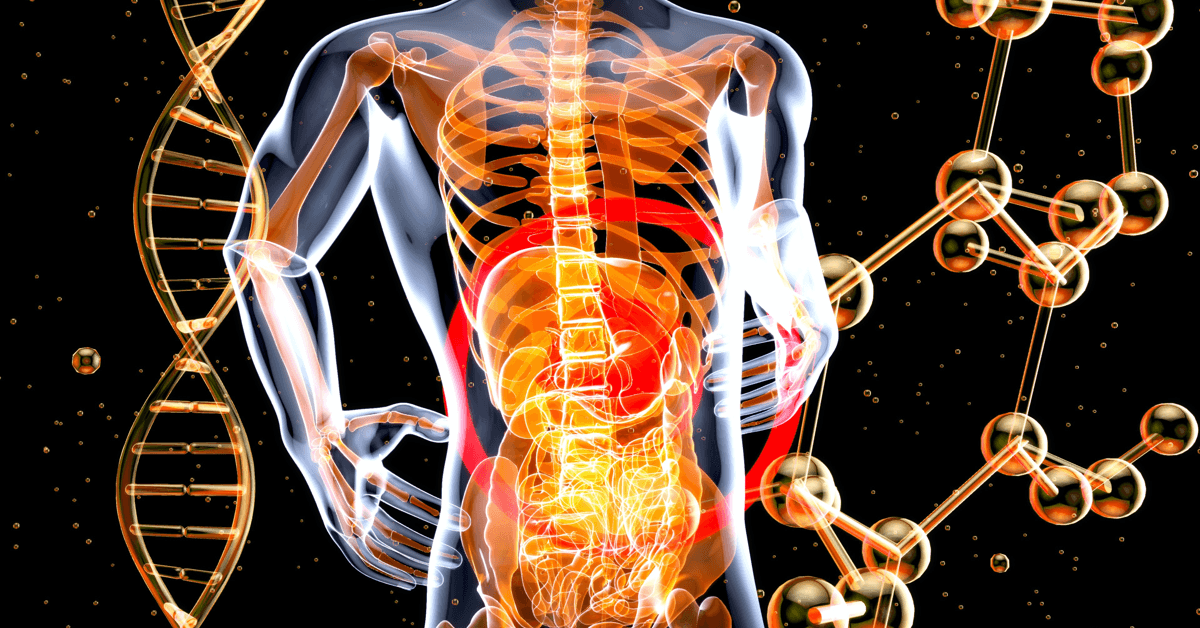 banner image for: La science des compléments alimentaires : BIOptimizers transforme l'industrie des suppléments de santé et de bien-être, une molécule à la fois.