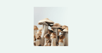 banner image for: Psylutions Applauds DEA Milestone on Path to Psilocybin Rescheduling