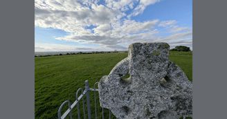 banner image for: Introducing Irish Tree, Cost-Effective Irish Family Research Site