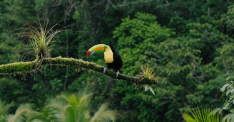 banner image for: Charity Ace Unveils ‘The Costa Rica Effect,’ Inspiring a New Era of Impact Travel for Nonprofits and Donors Alike