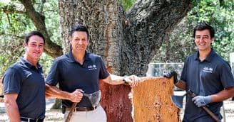 banner image for: Cork Supply Revives Cork Harvesting Events at Cal Poly and UC Davis, Launches Scholarship Program to Portugal