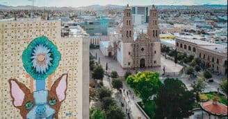 Startup Chihuahua Seeks Advanced Manufacturing Companies