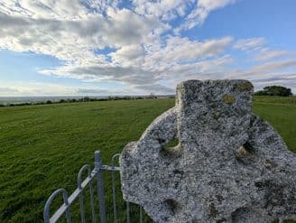 Introducing Irish Tree, Cost-Effective Irish Family Research Site