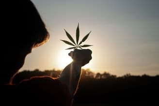 banner image for: CannabisRadio.com Announces Official Partnership with NoCo Hemp Expo and Coverage by Industry Experts