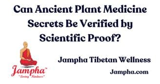 Can Ancient Plant Medicine Secrets Be Verified by Scientific Proof?