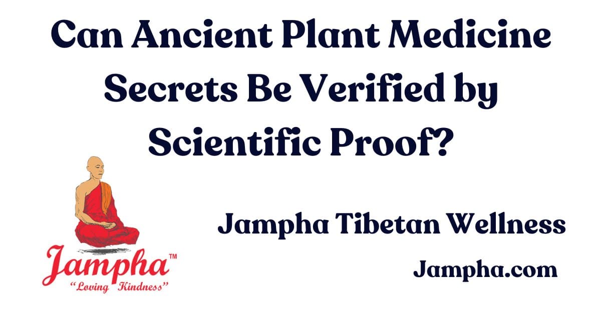 banner image for: Les secrets de la médecine végétale ancienne peuvent-ils être vérifiés par des preuves scientifiques ?