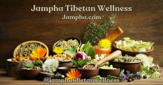 Renowned Tibetan Medical Physician Brings 50 Years of Experience to Jampha's Unique Botanical Products