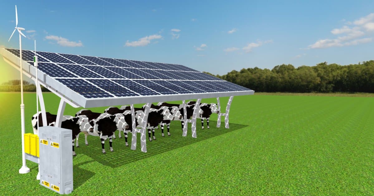 banner image for: Tokenizando AgTech para Catalizar la Acción Climática.