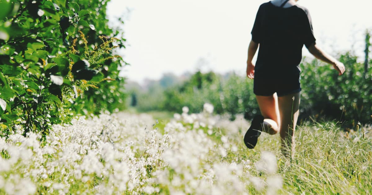 Dr. Bradley Nelson's 'The Heart Code' Achieves USA Today Bestseller Status in First Week