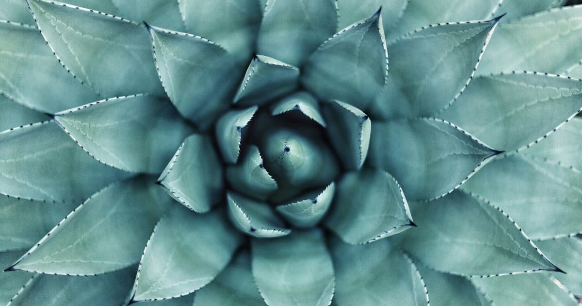 Coach Doris Launches Online Course for Subconscious Mind Dialogue