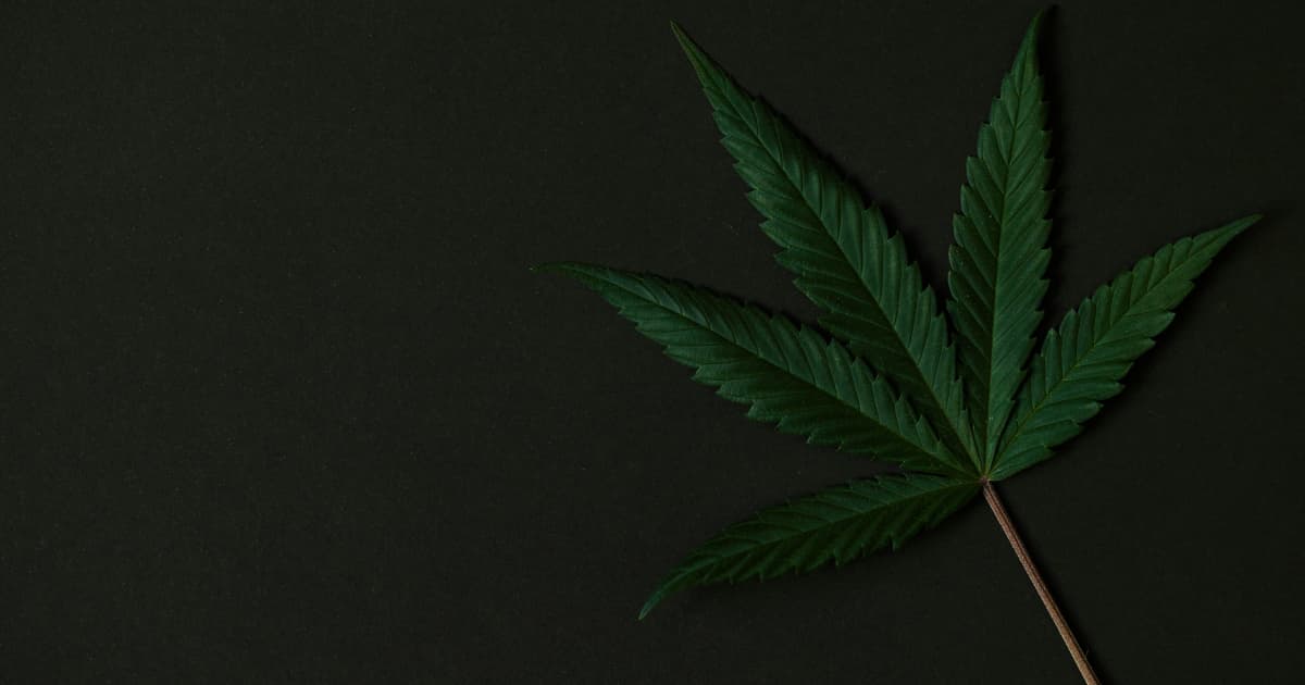 Splash Beverage Group Enters Hemp-Based THC Beverage Market Through Joint Venture with BAAD Ventures