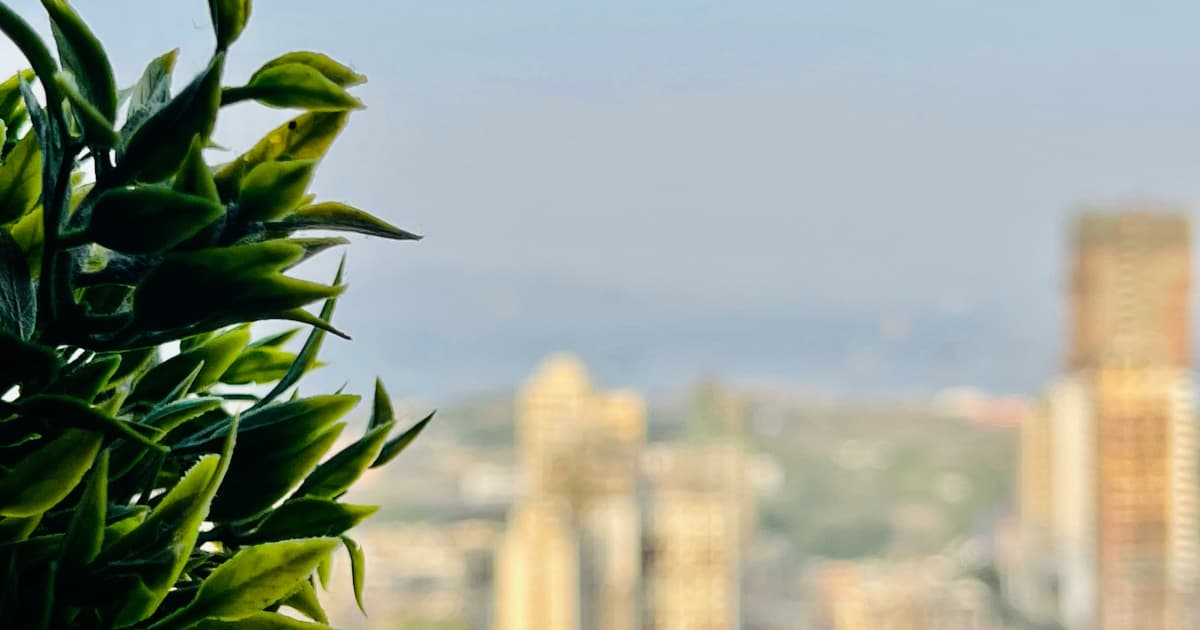 Federal Study Finds Cannabis Regulations Prioritize Public Health More Than Alcohol Oversight