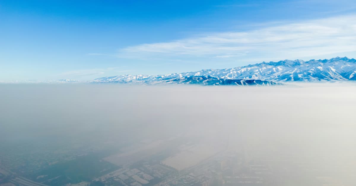 Kia EVs Show Superior Battery Longevity Compared to Tesla in Used Vehicle Study