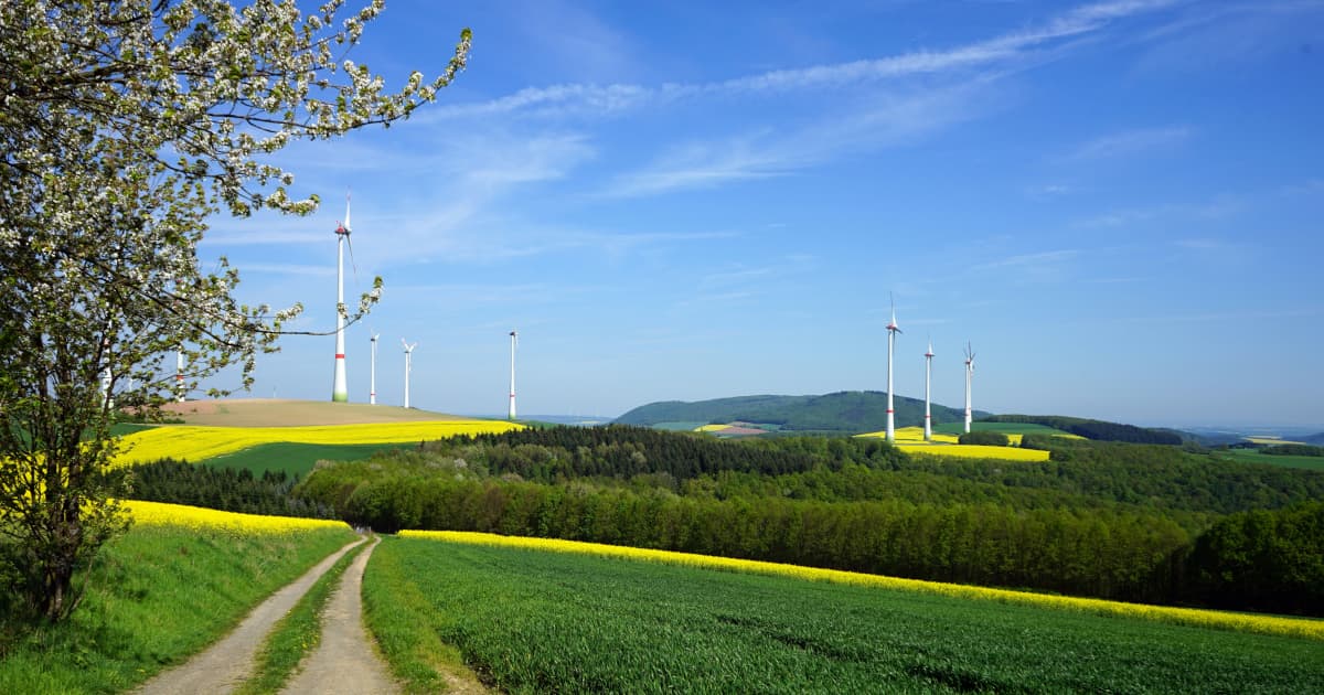 Tesla Experiences Significant Sales Decline Across European Markets in October