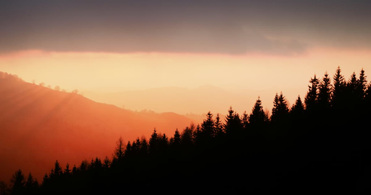 Spiritual Healer Eve Wilson Launches Global Ascension Event to Support Collective Transformation