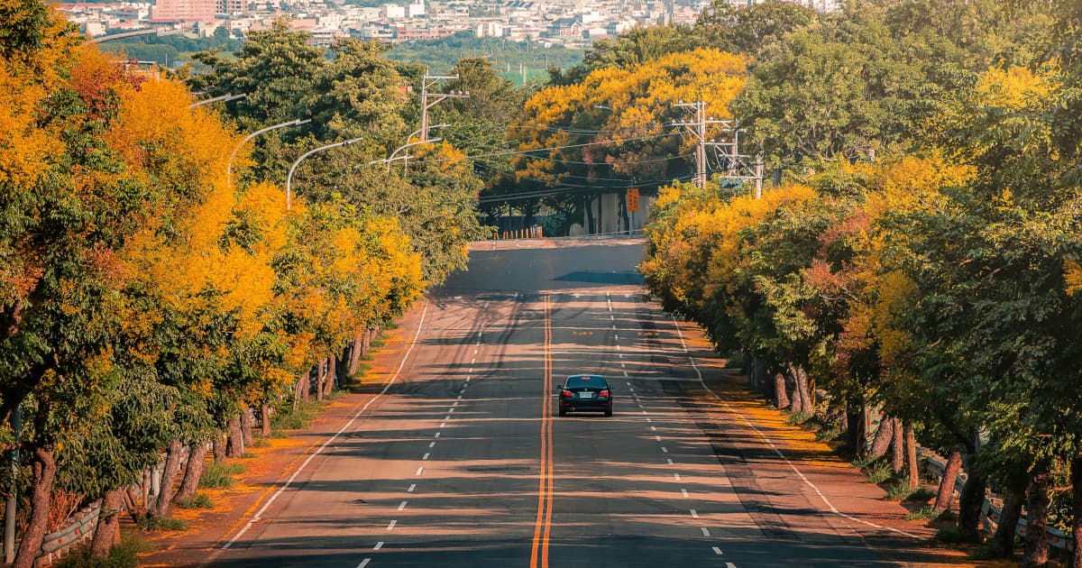 Lafayette Nail Spa Emphasizes Hygiene and Comprehensive Services in Competitive Beauty Market