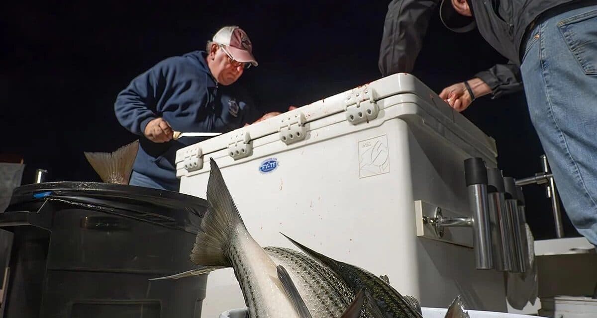 Maryland Faces Economic and Healthcare Challenges as Recession Risk Rises