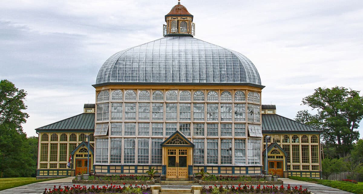 ICE Holding Cells and Juvenile Services Leadership Changes Highlight Systemic Issues