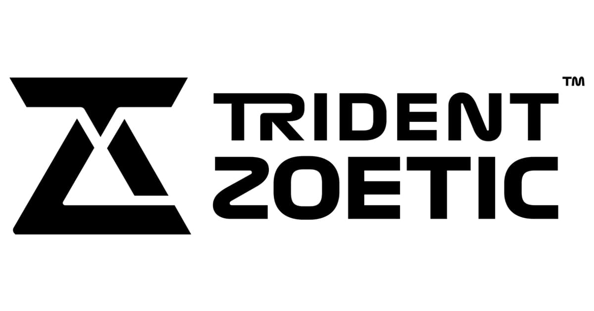 Trident Zoetic Expands Executive Leadership Team to Drive Global Growth in Critical Infrastructure