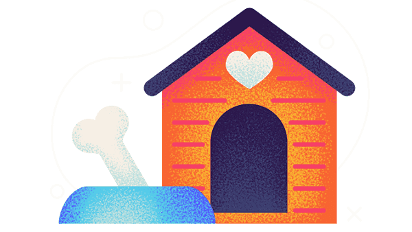 2025’s Most Pet-Friendly Cities Identified in WalletHub Study