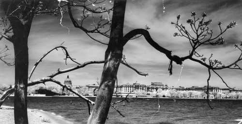 A. Aubrey Bodine's Legacy Celebrated Through His Iconic US Naval Academy Photograph