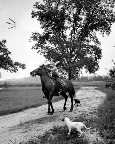 A. Aubrey Bodine's Farm Photograph Highlights Artistic Legacy of Influential 20th Century Pictorialist