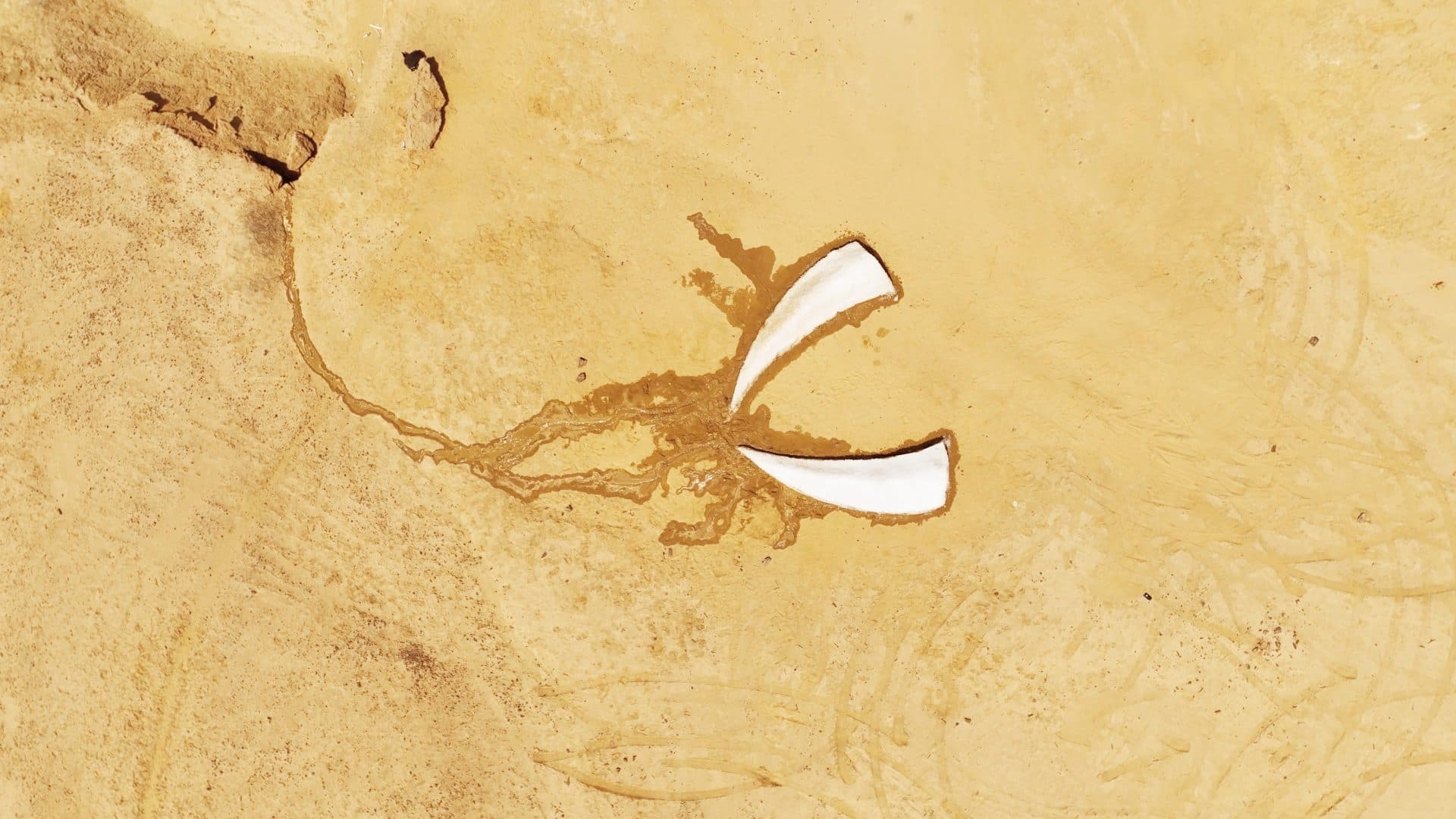 Siberian Artist's Melting Ice Sculpture in Egyptian Desert Confronts Climate Crisis