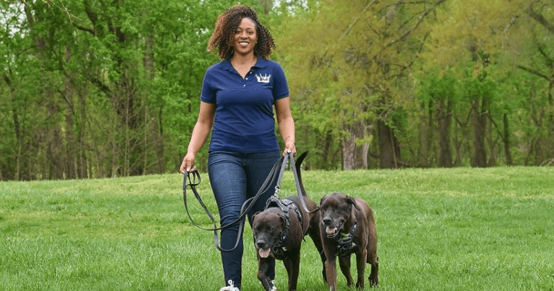 From Engineering to Dog Walking: Akira Bradley's Journey to Entrepreneurship with Barking with the Bradleys