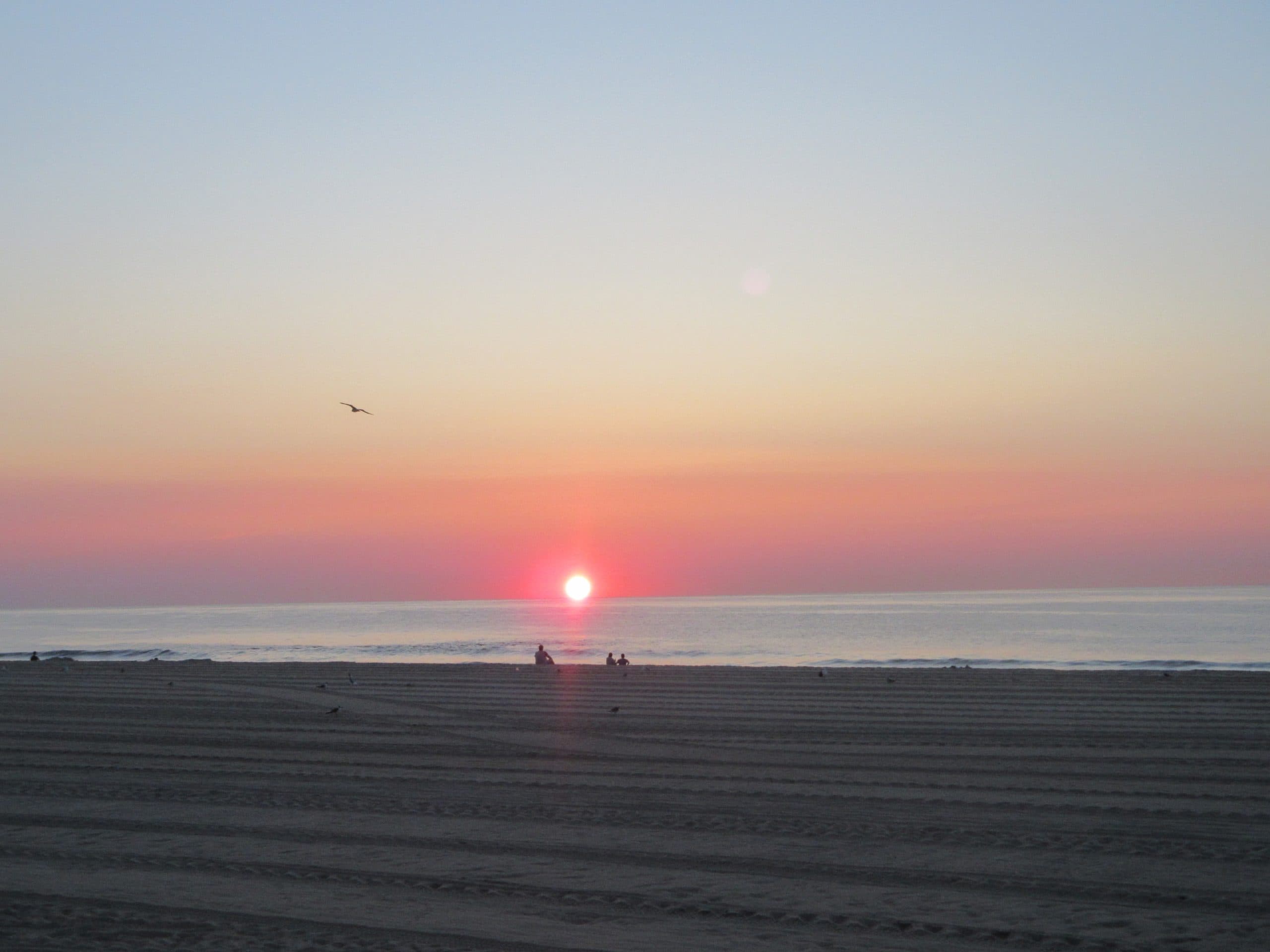 Maryland Leaders Address International and Domestic Challenges