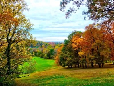 Roland Park Community Foundation Secures $9m Deal for Hillside Park