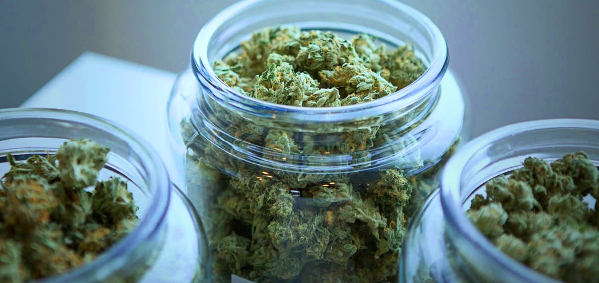 Maryland Faces Multifaceted Challenges: From Juvenile Detention to Renewable Energy Push