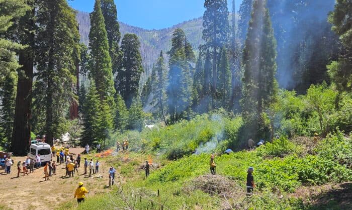 Giant Sequoia Lands Coalition Makes Significant Strides in Forest Restoration and Wildfire Protection