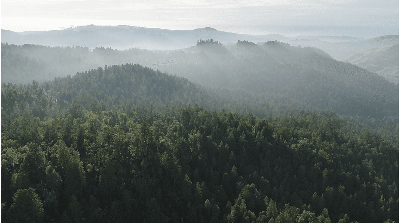 Save the Redwoods League Acquires 1,517 Acres to Expand Sonoma County Conservation Corridor