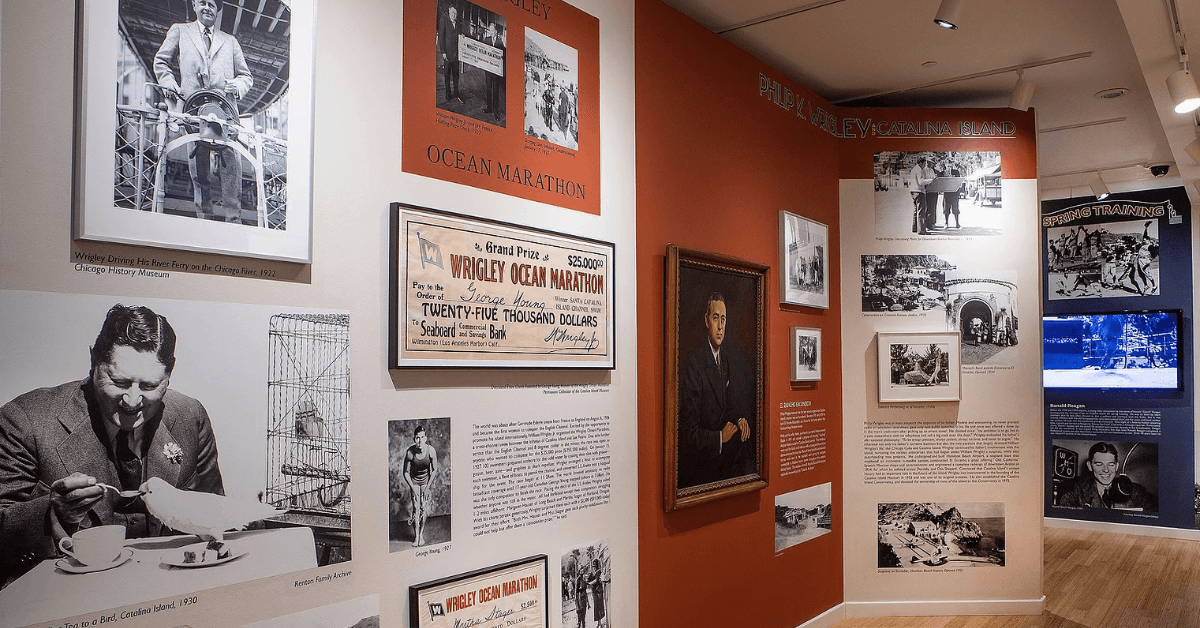 Catalina Museum Hosts End of Summer Fundraiser Honoring Local Veterinarian