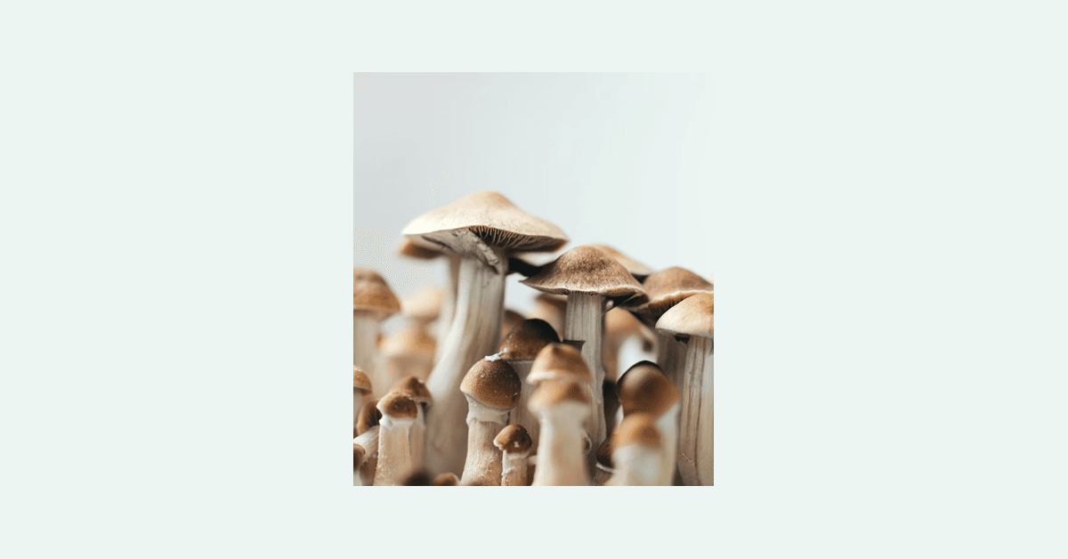 DEA Advances Psilocybin Rescheduling Petition to HHS for Scientific Review