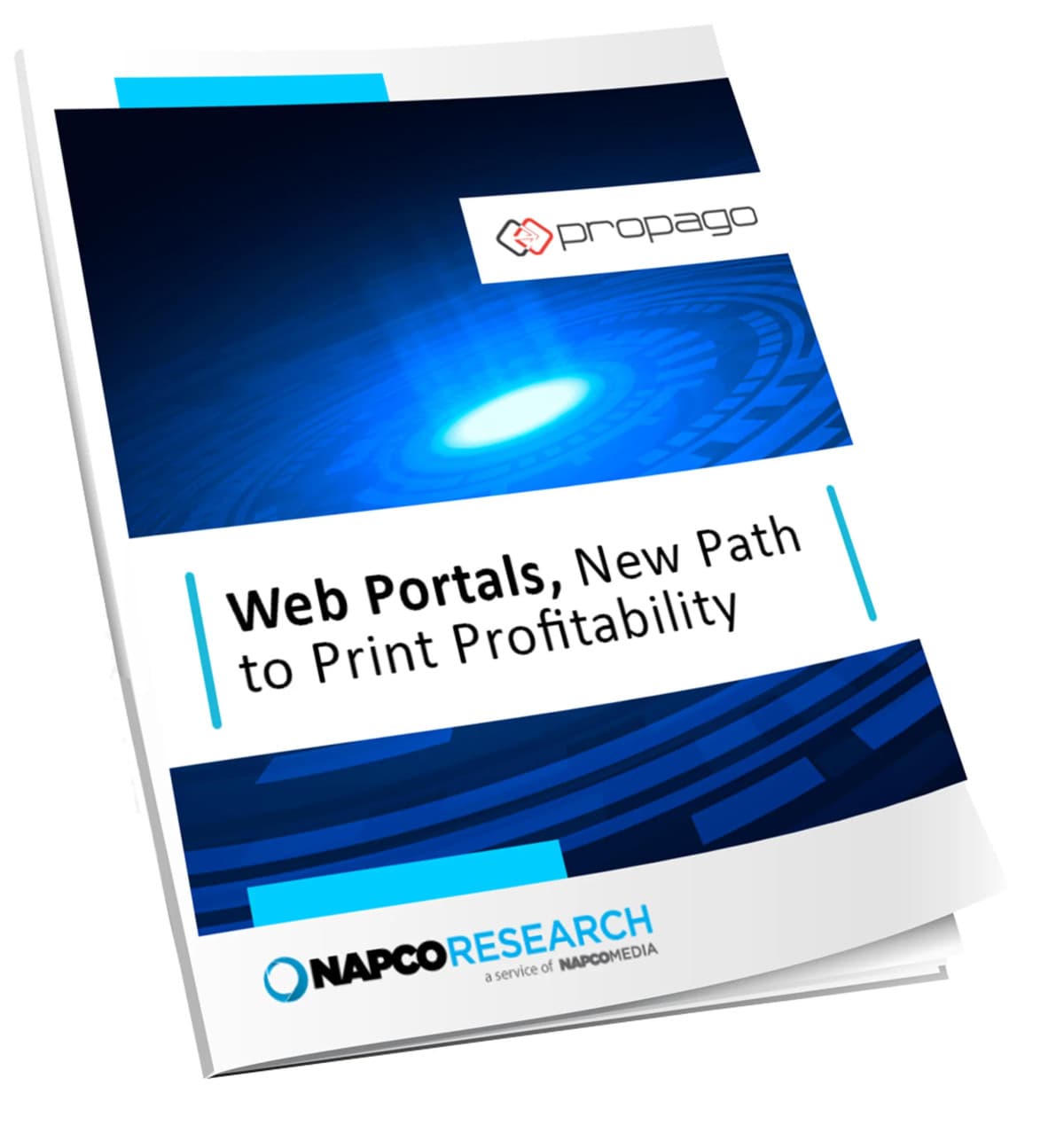 NAPCO Study: 93% of Printers Report Sales Gains via Customized Web Portals