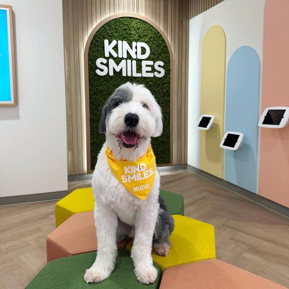 Kind Smiles Orthodontics Releases Guide Comparing Orthodontic Options for Irvine Families