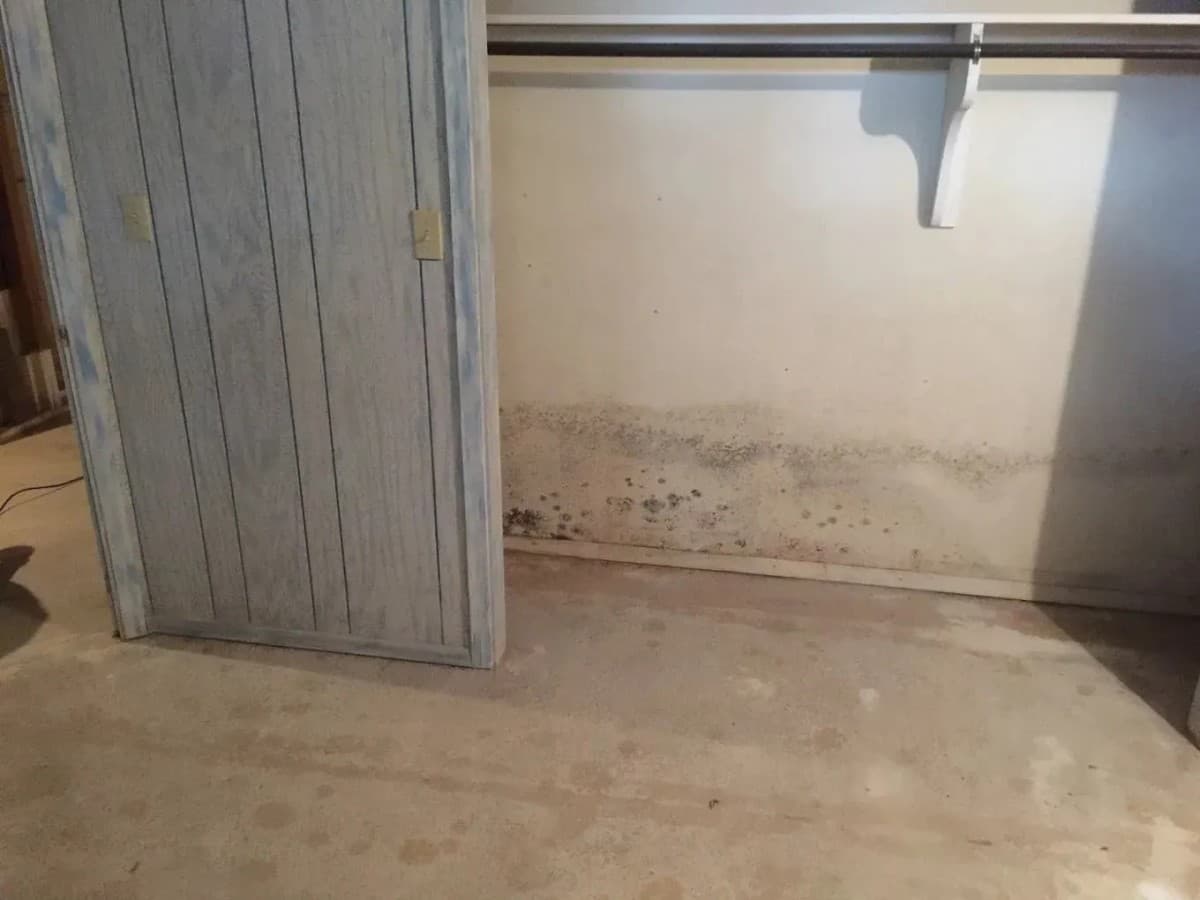 FreshCo Cleaning & Restoration Expands Mold Remediation Services in Wichita