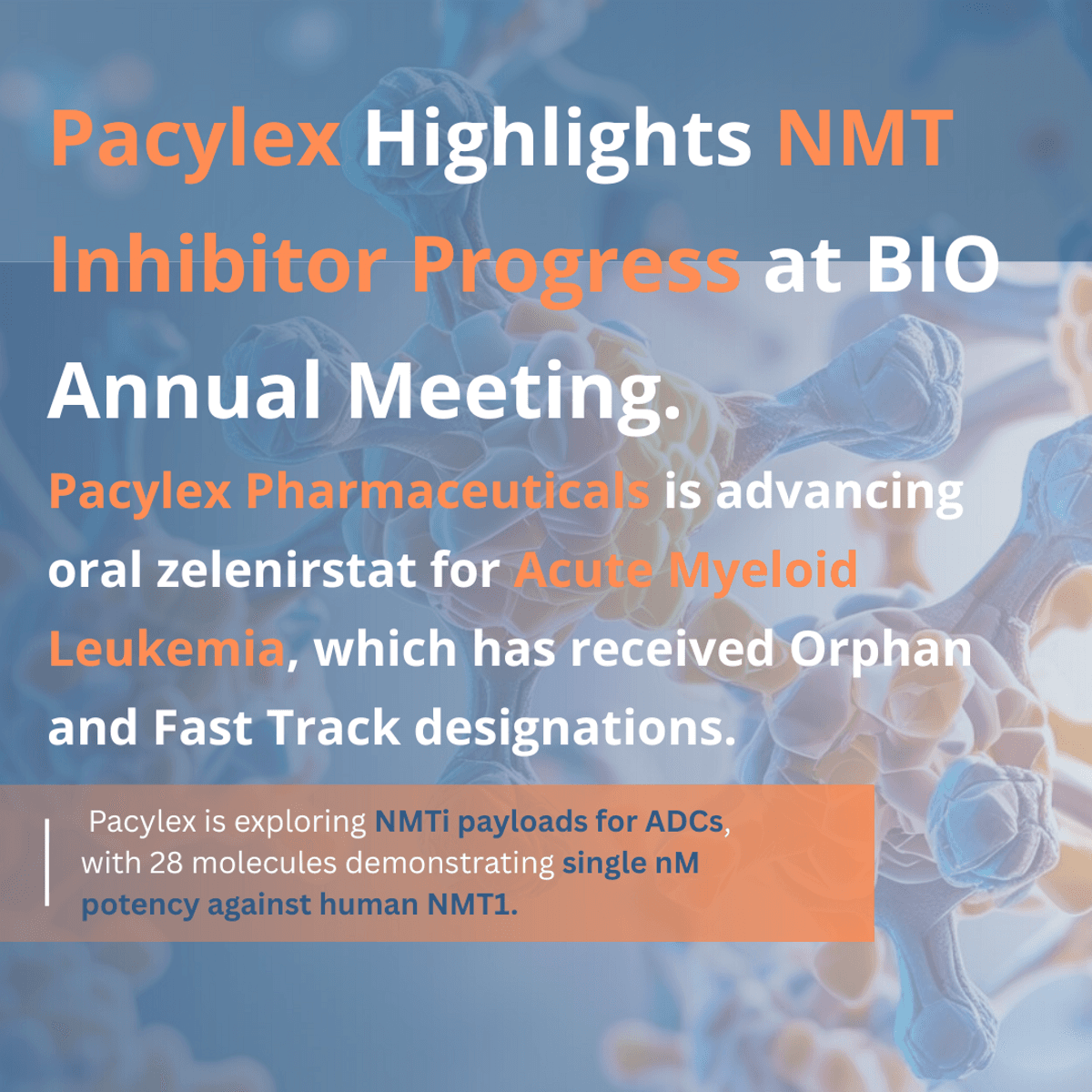 Pacylex Pharmaceuticals Showcases Promising NMT Inhibitors at BIO Annual Meeting