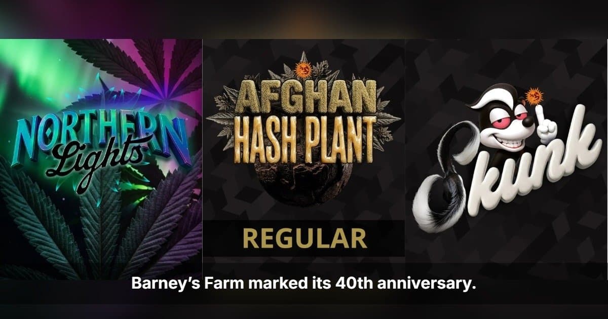 The Real Deal Turns 40 — Barney's Farm Returns to Its Roots With the Genetics That Started It All 
