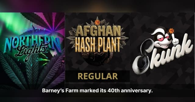 The Real Deal Turns 40 — Barney's Farm Returns to Its Roots With the Genetics That Started It All 
