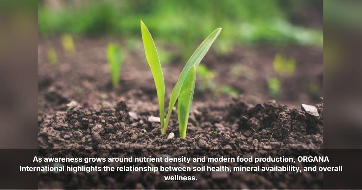 banner image for: ORGANA International Explores the Connection Between Soil Health and Human Nutrition