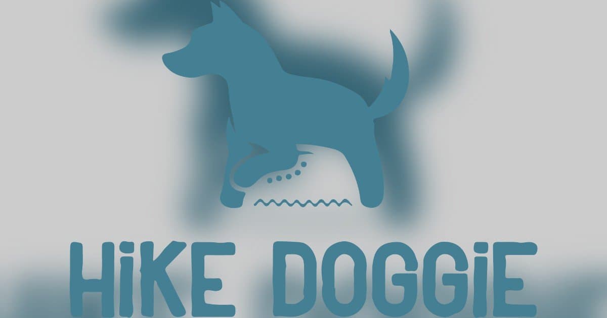 Hike Doggie Canine Client Leaves Epic 5-Star Review on Yelp  