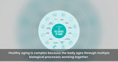 AgeReverse Plans U.S. Expansion With Comprehensive Approach to Healthy Aging