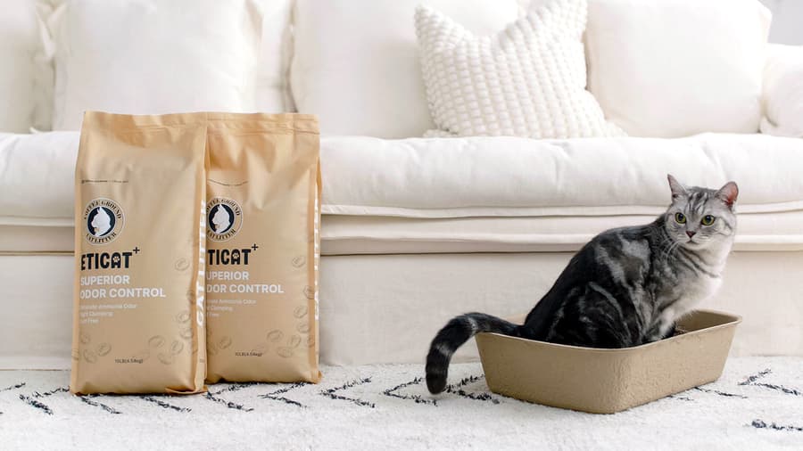 Innovative Eco-Friendly Cat Litter Made from Recycled Coffee Grounds Set to Launch