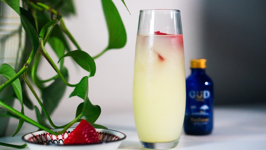 GÜD Tonics Offers Alcohol-Free Alternative for Holiday Celebrations