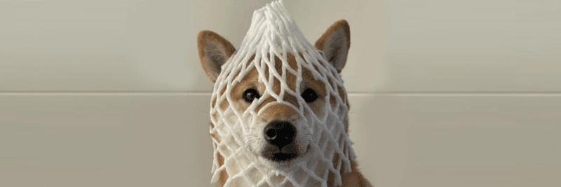 Wrapped Dog ($wDOG) Launches on Solana, Pioneering a New Era of Decentralized Cryptocurrencies