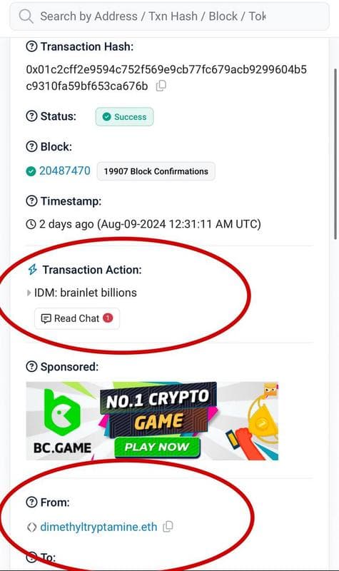 Whale Wallet Endorsement Propels BRAINLET Memecoin to Potential Billion-Dollar Status on Solana