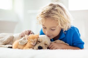 banner image for: New Pet Positive Program Seeks to Change the Future for America’s Dogs and Cats