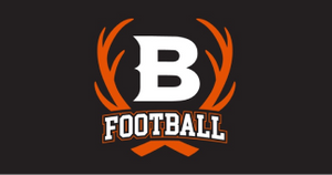 banner image for: Bismarck Bucks to Host IFL Game in Fargo As Team Gears Up for Return in 2025